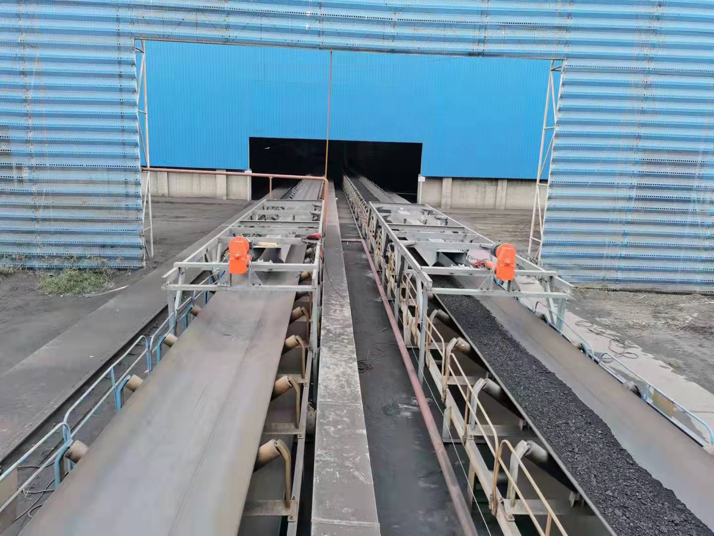 电子91看片成人软件-，传送带计量秤的优势特点介绍