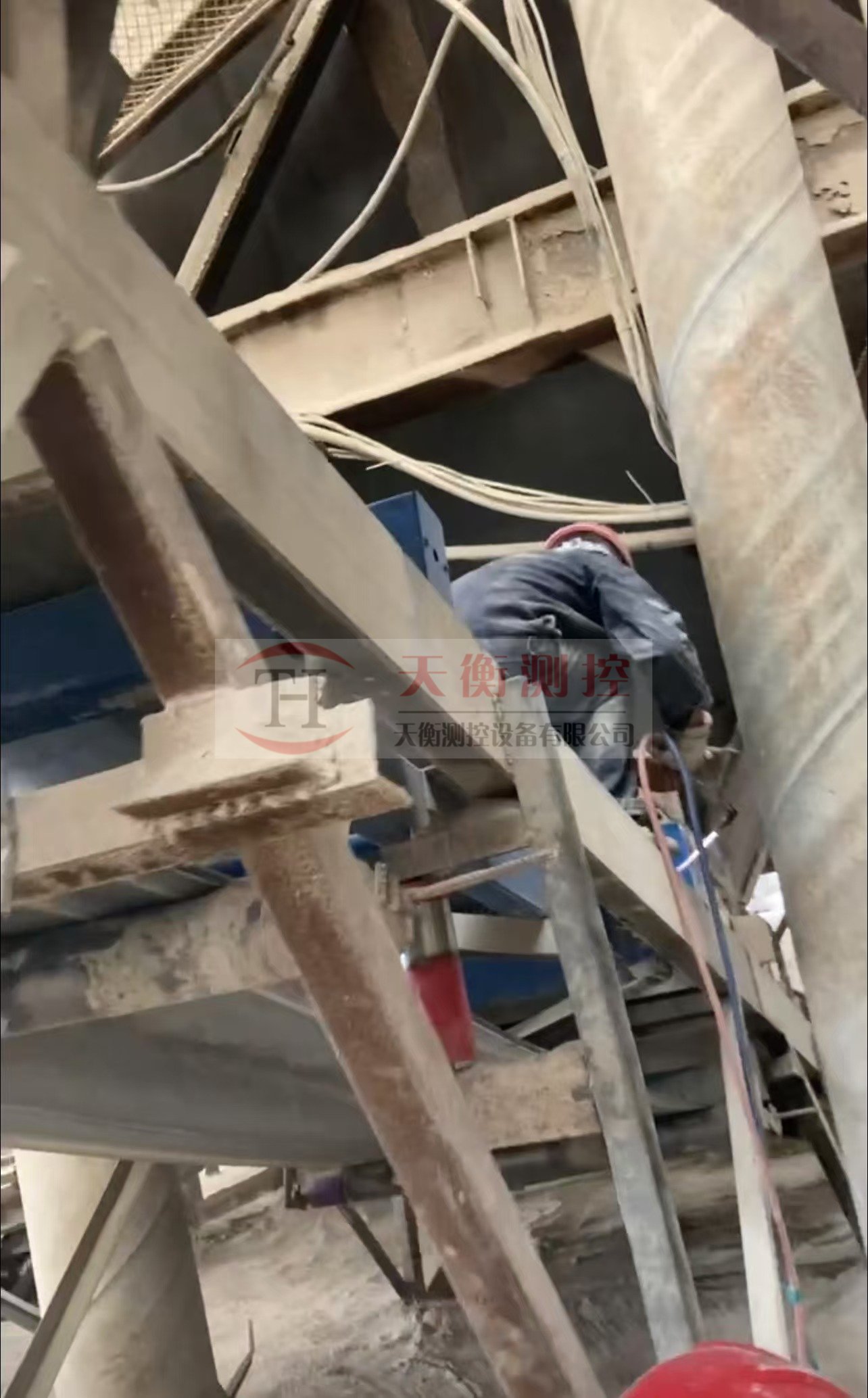 张家界91看片成人软件-