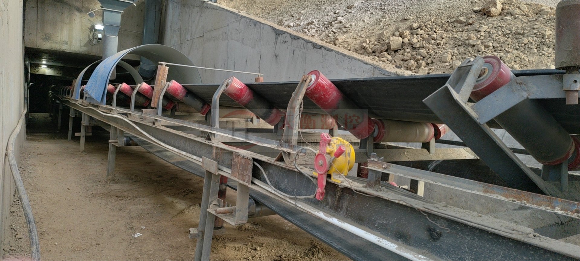 电子91看片成人软件-案例