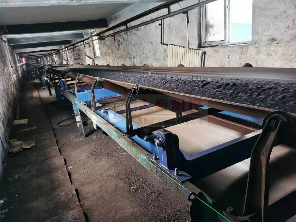 浙江热电厂91看片成人软件-项目